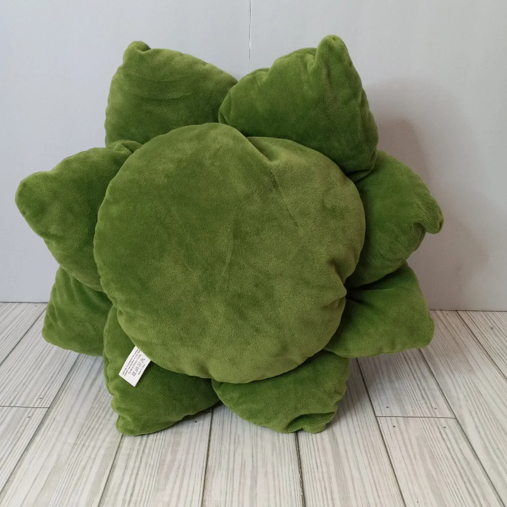 Green Philosophy Succulent Accent Pillow